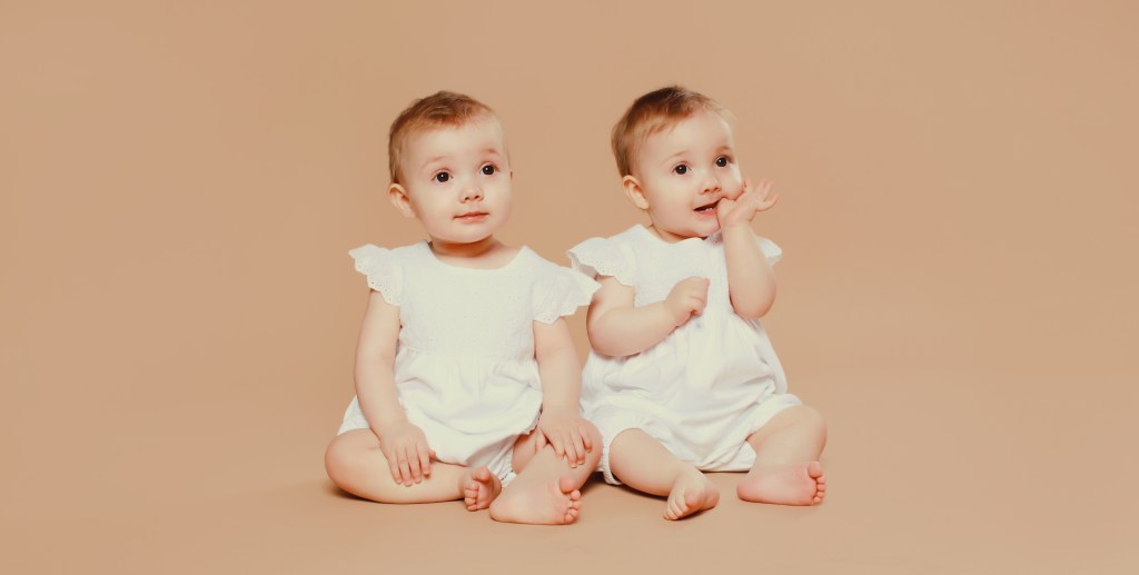 How can Identical Twins be so Different?