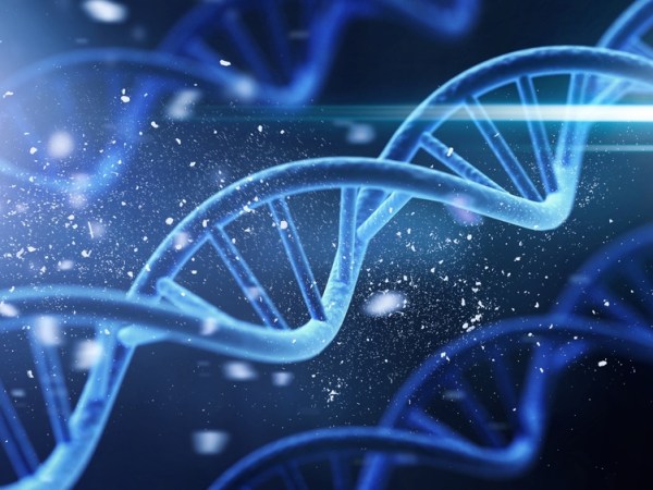 Why is DNA a Double&nbsp;Helix?